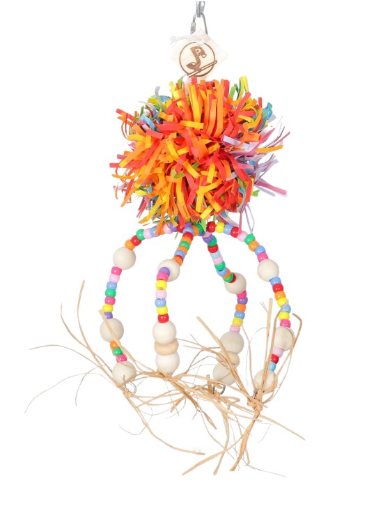 Caracatiță ciufulibilă curcubeu