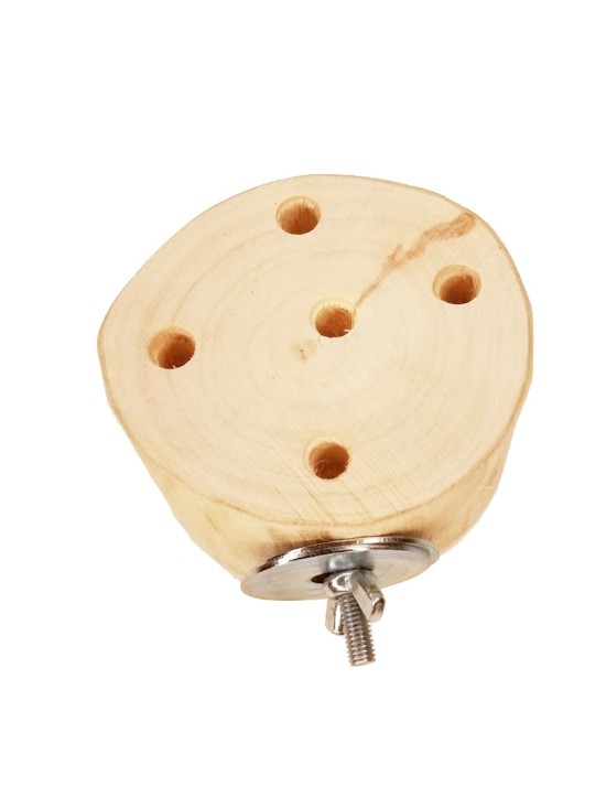 Cilindru căutare (foraging)