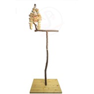 Stand T mare - 165 – 170 cm