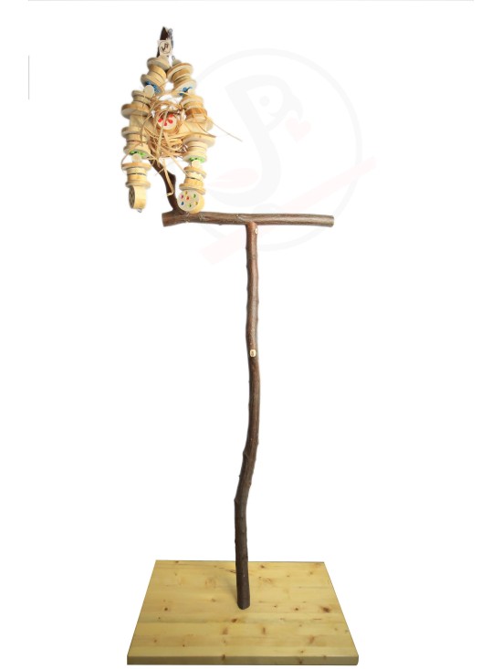 Stand T mare - 165 – 170 cm