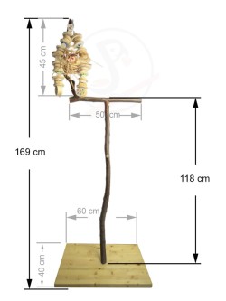 Stand T mare - 165 – 170 cm