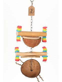 Turn de căutare P+1