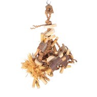 Visul lui Ronțăilă