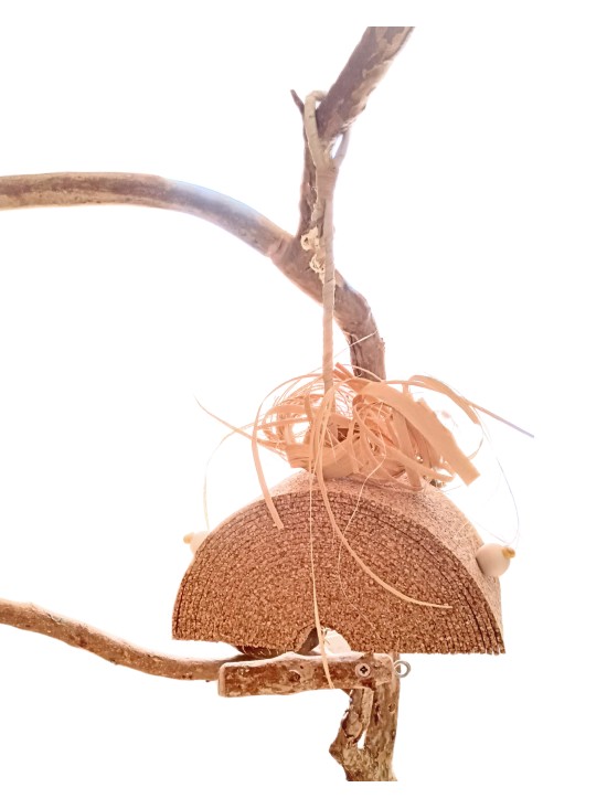 Pluta lu' Ronțăilă