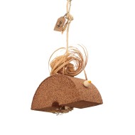 Pluta lu' Ronțăilă