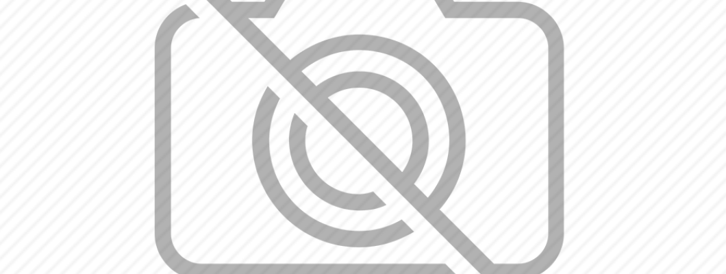 Standuri pentru papagali – făcute cu gândul la ei