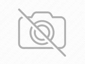 Standuri pentru papagali – făcute cu gândul la ei